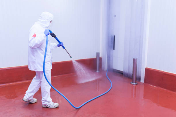 Best Sidewalk and Walkway Cleaning  in Castle Hills, TX