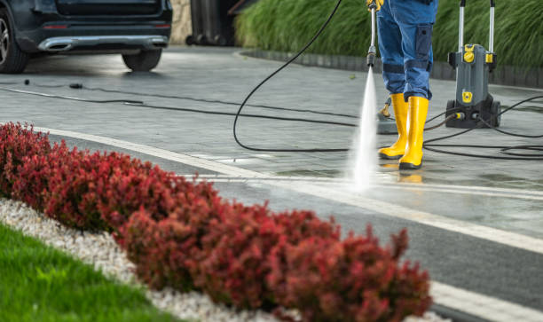 Best Driveway Pressure Washing  in Castle Hills, TX